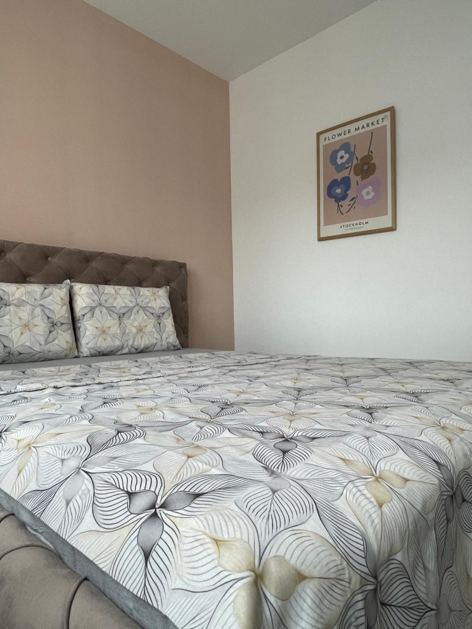 Entire Apartment - Near The Center พริสตีนา ภายนอก รูปภาพ